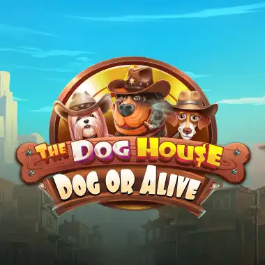 The Dog House – Dog or Alive